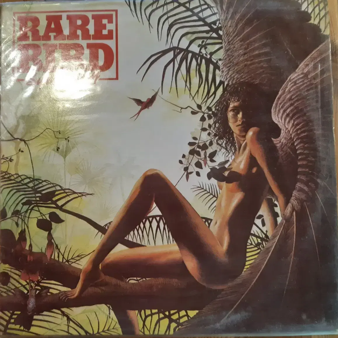 rare bird sympathy 예음 lp