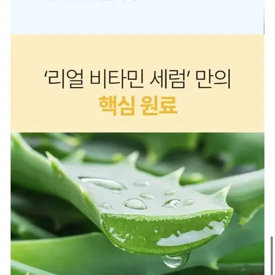 새상품)은율 리얼 비타민 세럼50ml*3/무료배송