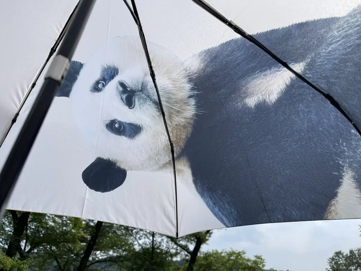 (정가)푸바오 경량 3단 자동우산