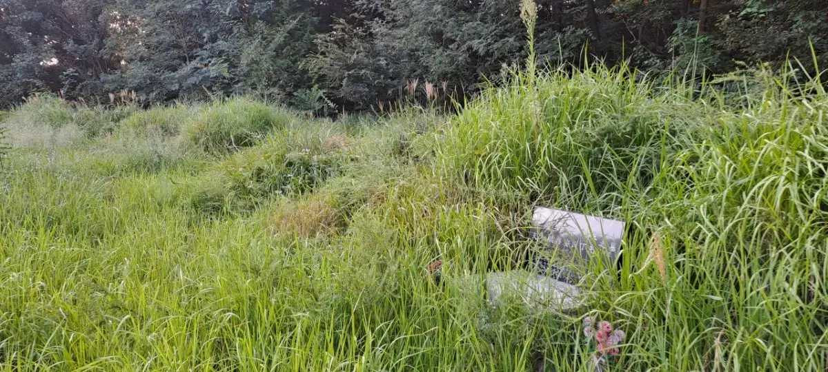 경남 벌초대행(진주 사천 고성 문산 금곡 반성 진성등)