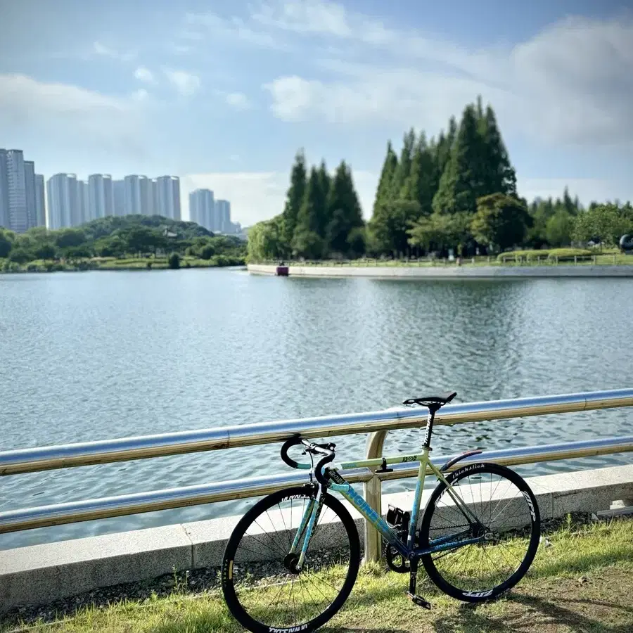 엔진11 볼텍스 커스텀