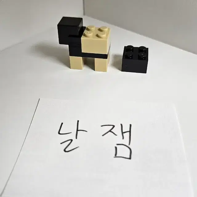 레고 21137 검은 양