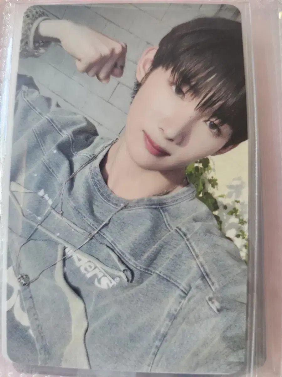 &team joe aoarashi weverse shop pre-order benefit photocard