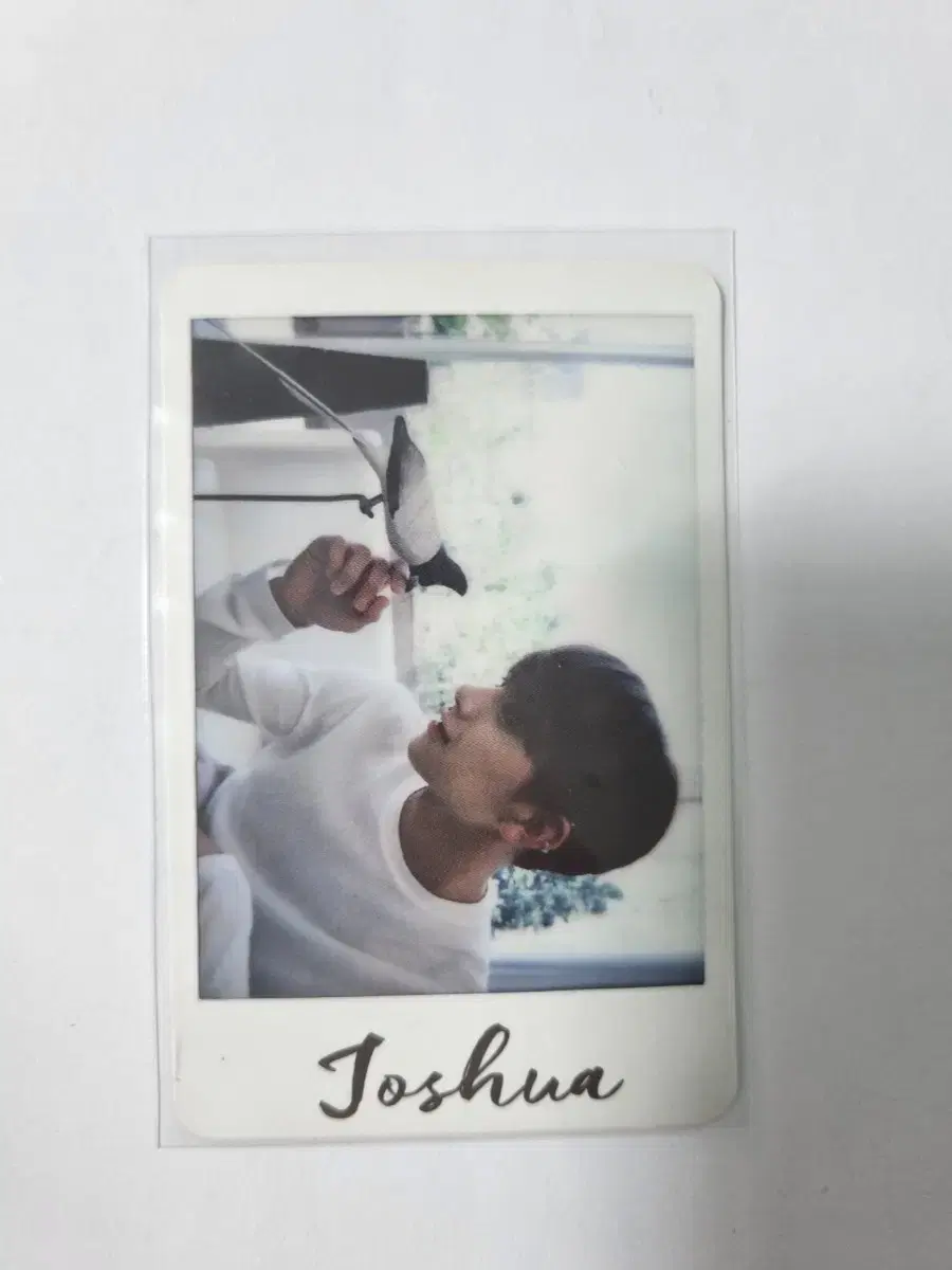 (폭덤) seventeen joshua I don't want to cry (cry not) photocard sells