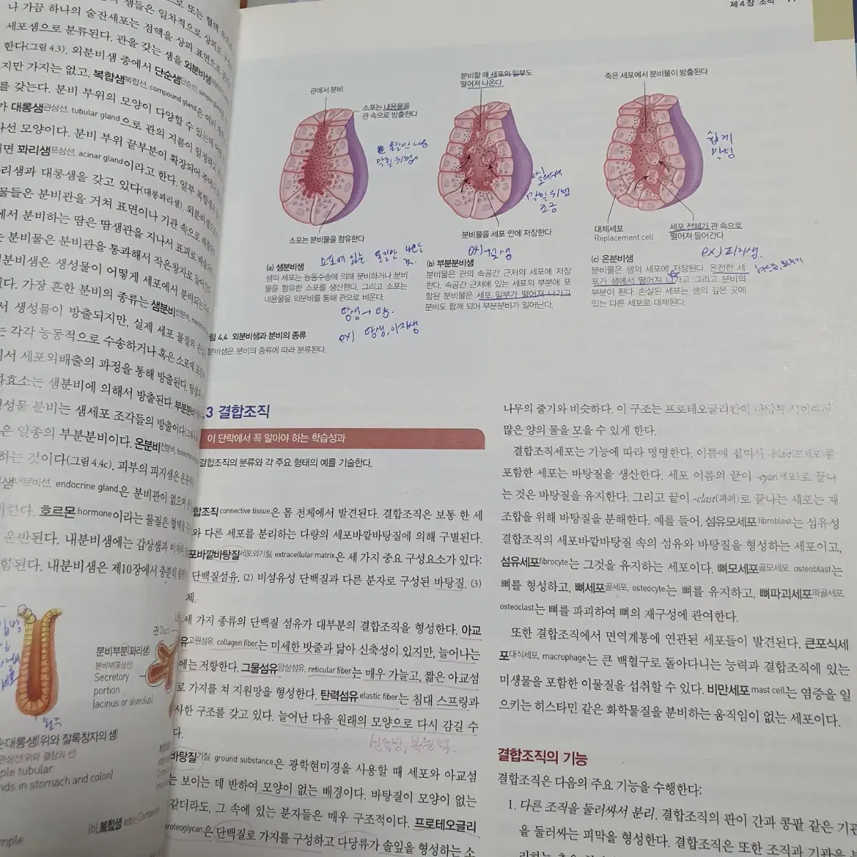 인체구조와 기능 제 8판