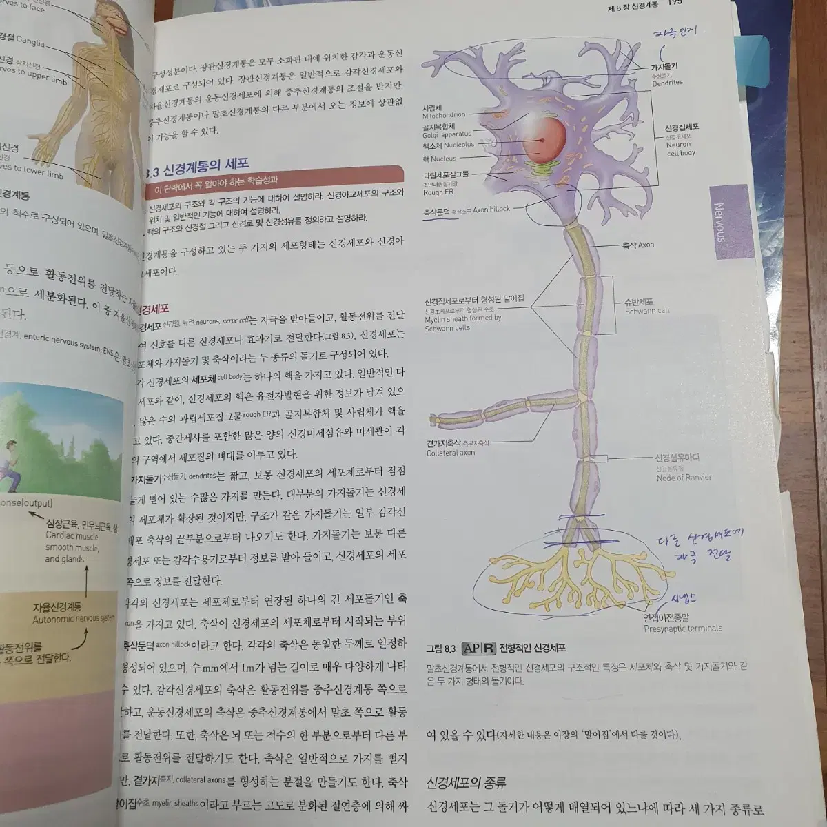 인체구조와 기능 제 8판