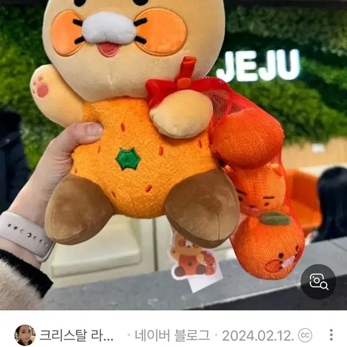 춘식이감귤인형