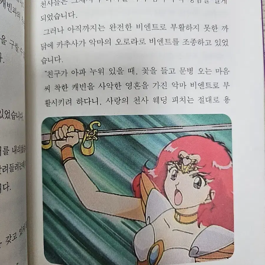 웨딩피치 애니메이션 소설 5권