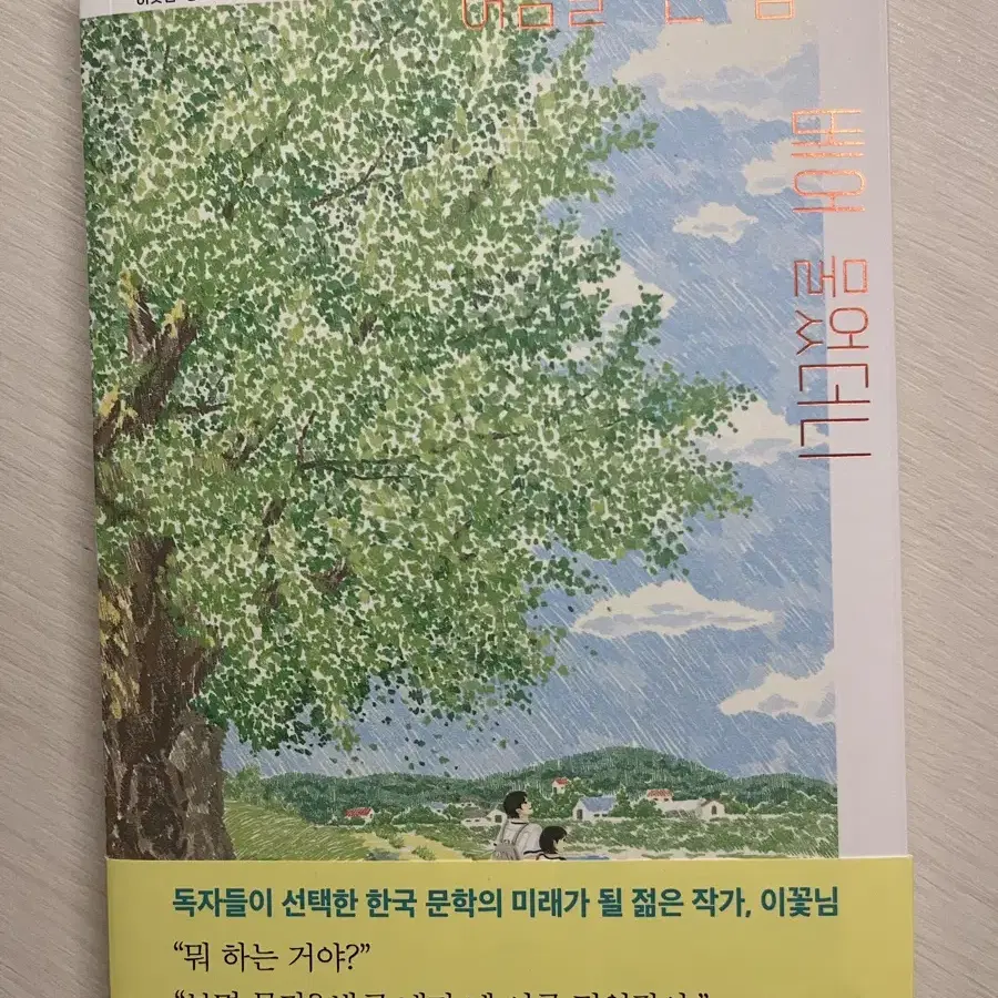 네고가능-저잘찔려요찔러봐주세요)여름을 한 입 베어물었더니 책 판매합니다!