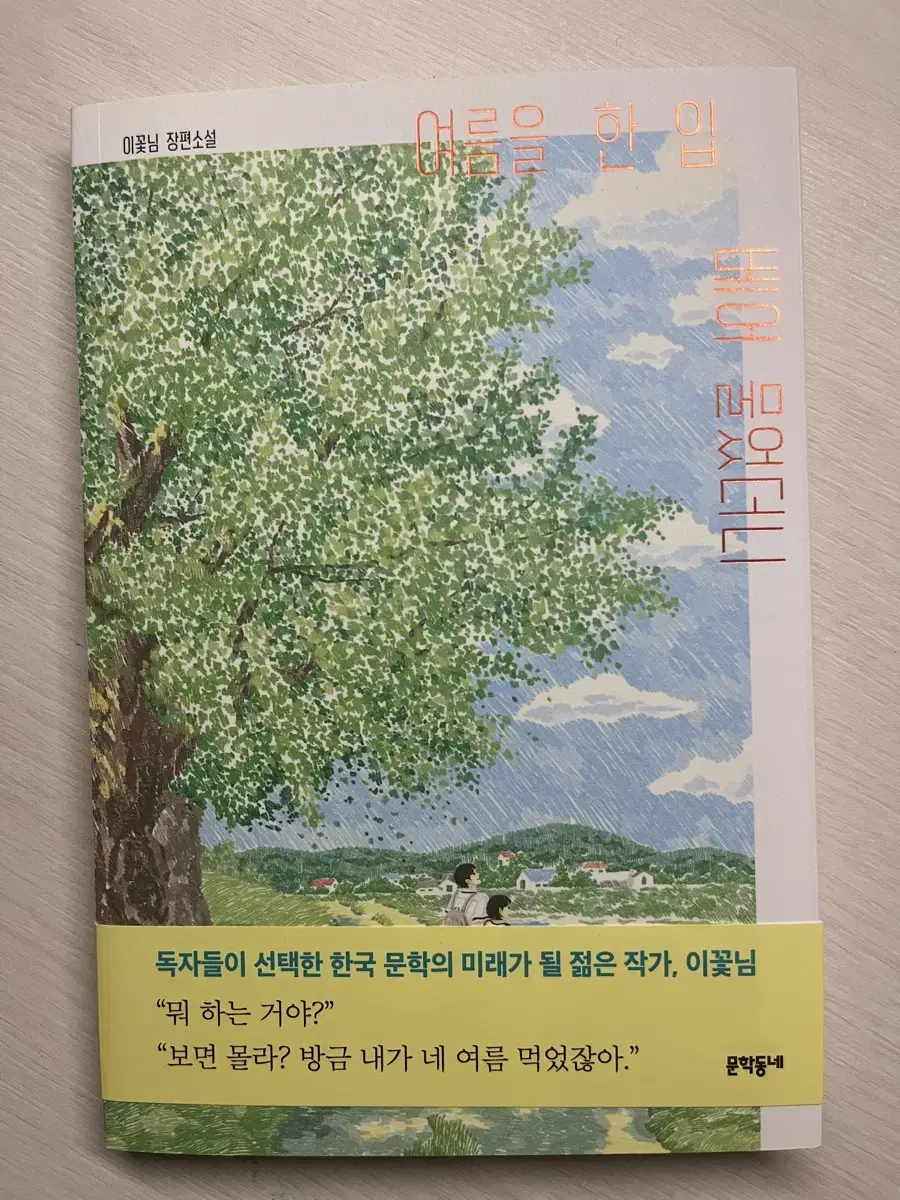 네고가능-저잘찔려요찔러봐주세요)여름을 한 입 베어물었더니 책 판매합니다!