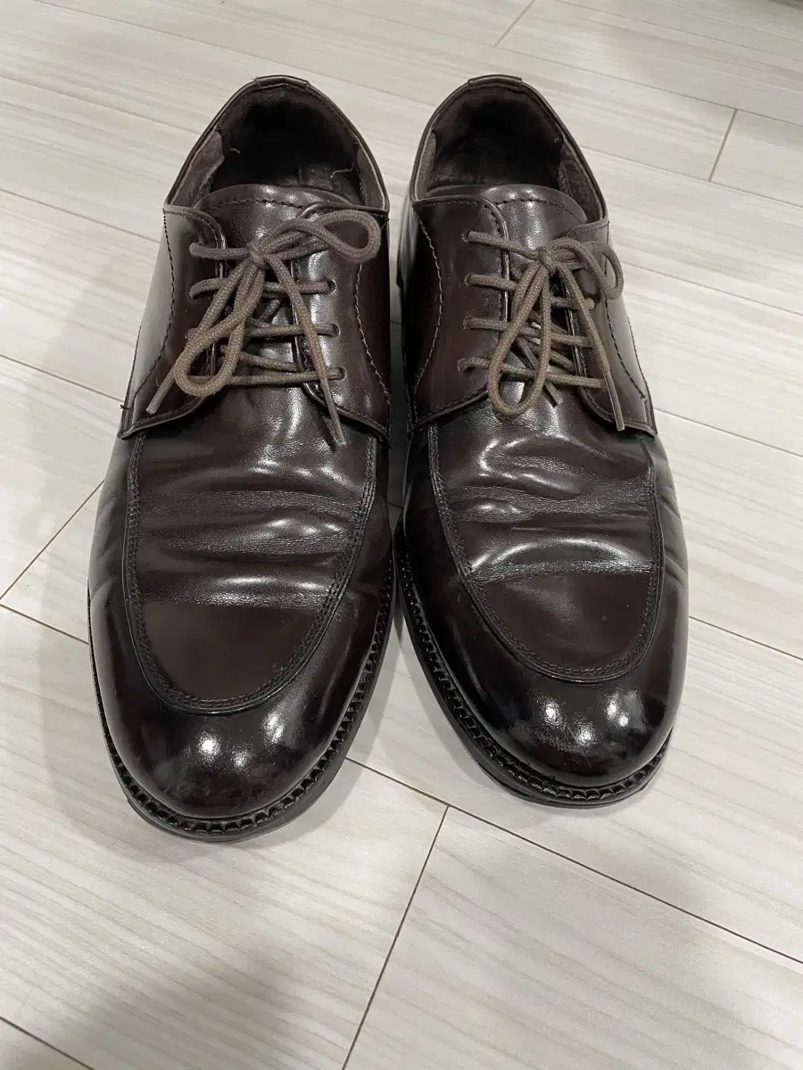 Dax Shoes Men's