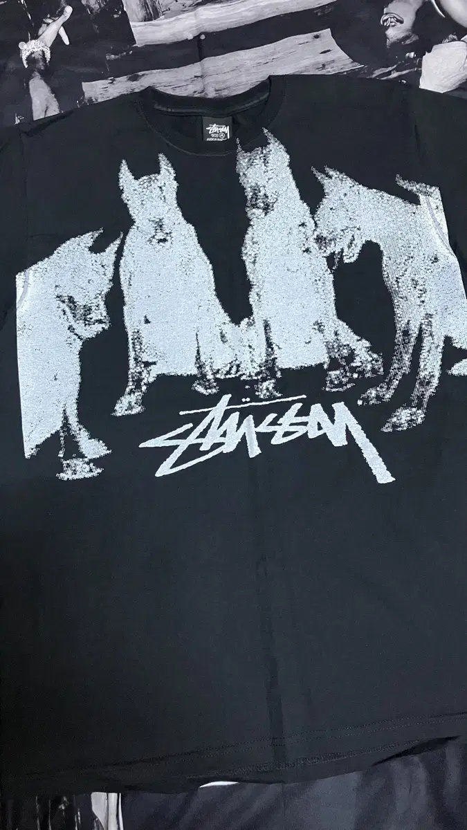 Stussy Doberman T-Shirt Black M