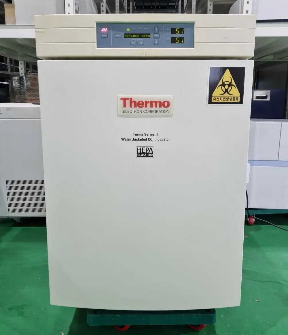 Thermo 3111 CO2 인큐베이터.