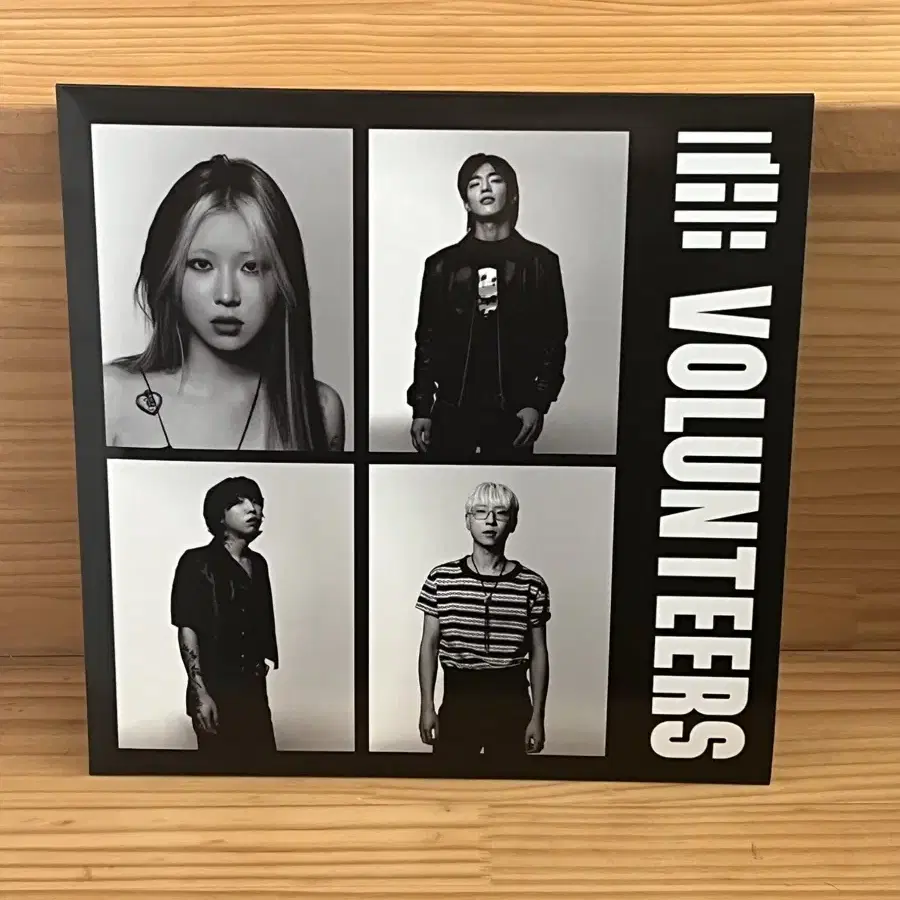 더 발룬티어스 - The Volunteers lp 개봉반