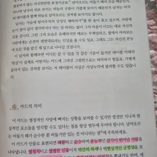 타로카드 책(정품