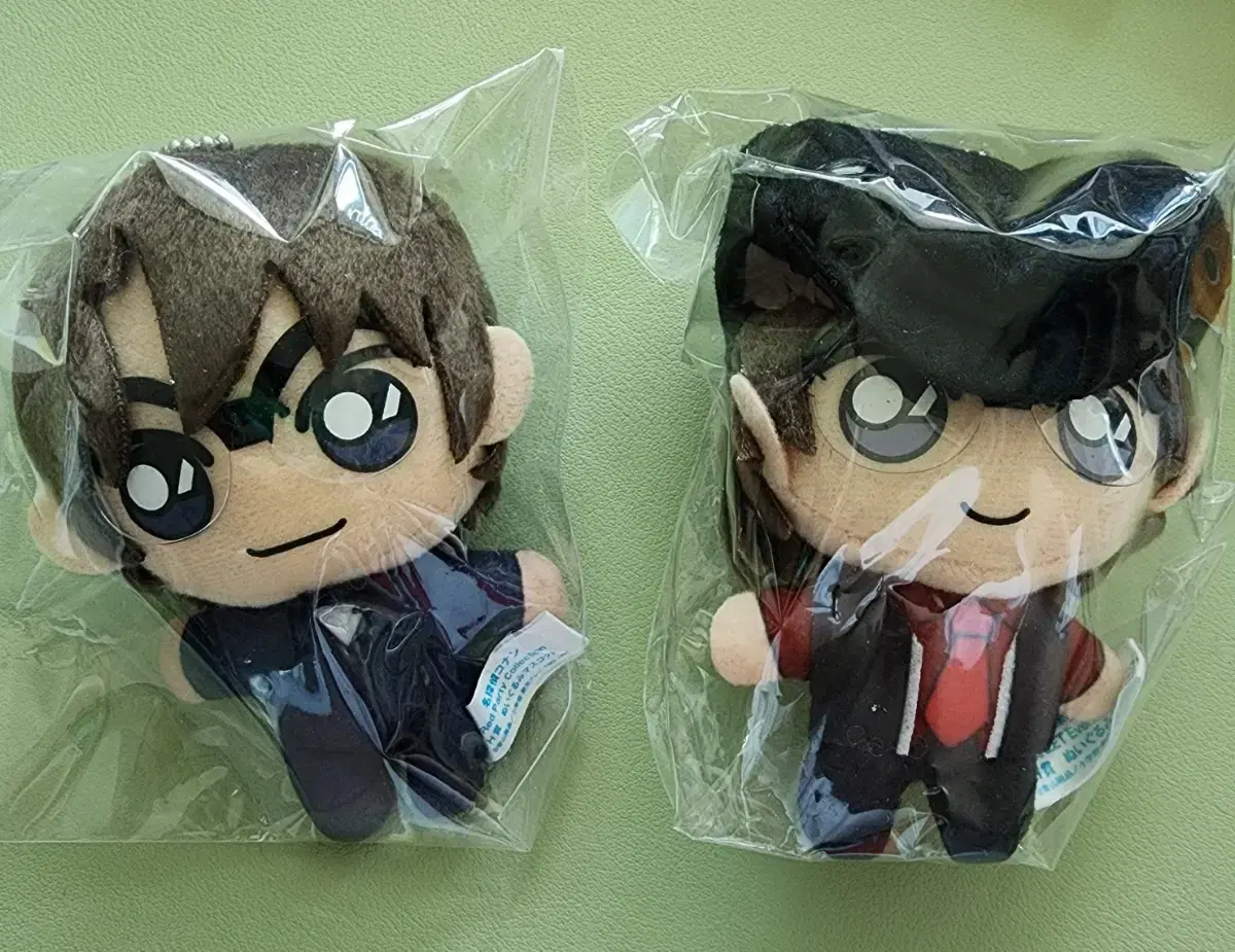 Detective Conan Haneda Shukichi Sister wts