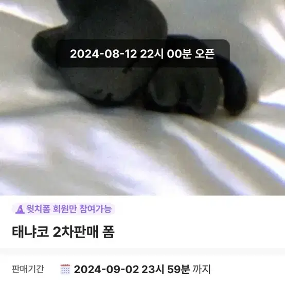 보넥도 태산 인형 태냐코 공구