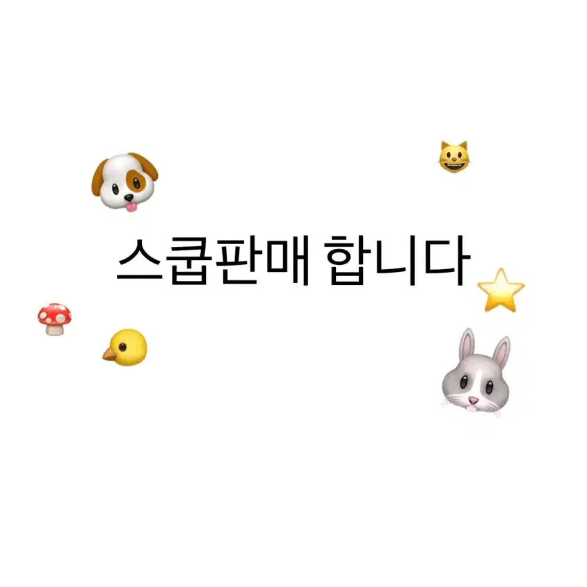 포카 스쿱판매