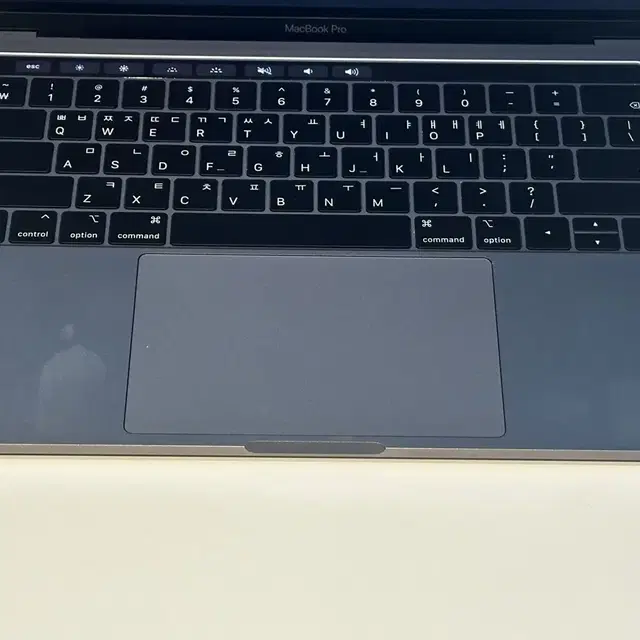 13형 MacBook Pro(터치바o)&매직마우스