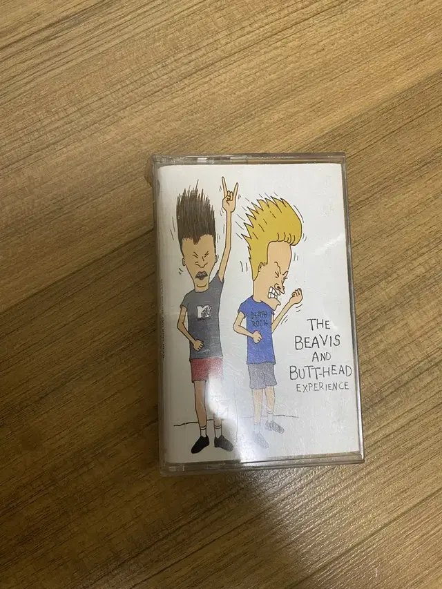 the beavis and butt-head casette tape