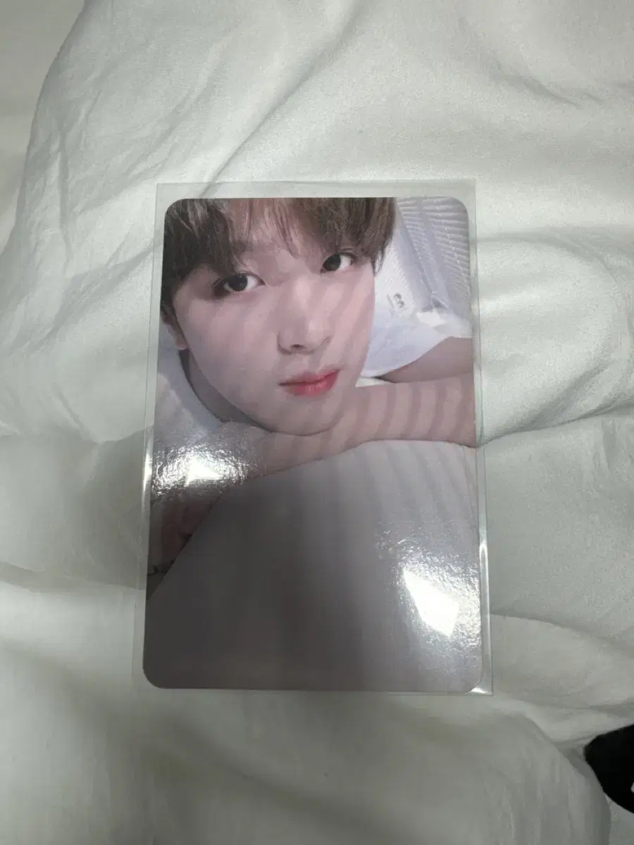 NCT127 Dream Bed Haechan Regular