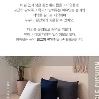 삼익가구 삼각 등받이 쿠션 (대형)