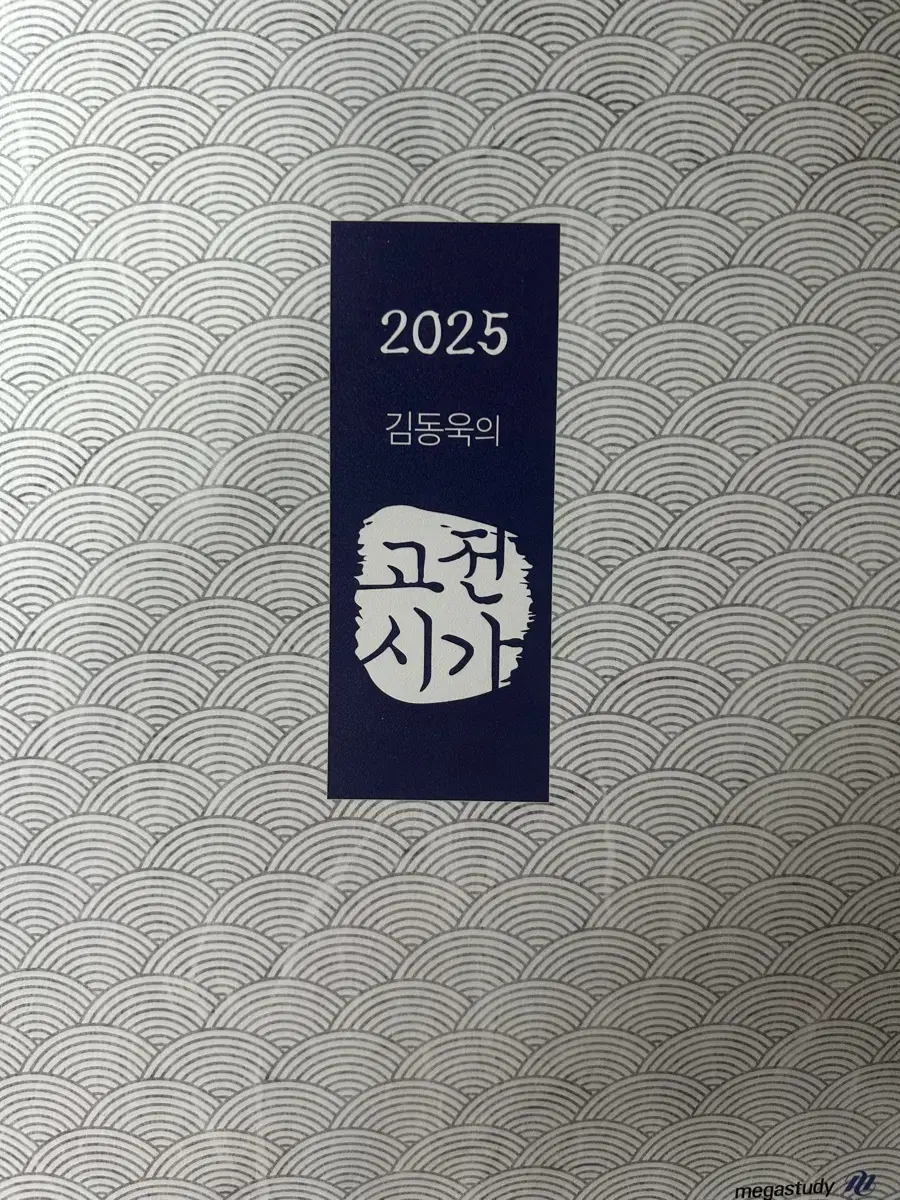 메가스터디 2025 김동욱의 고전시가