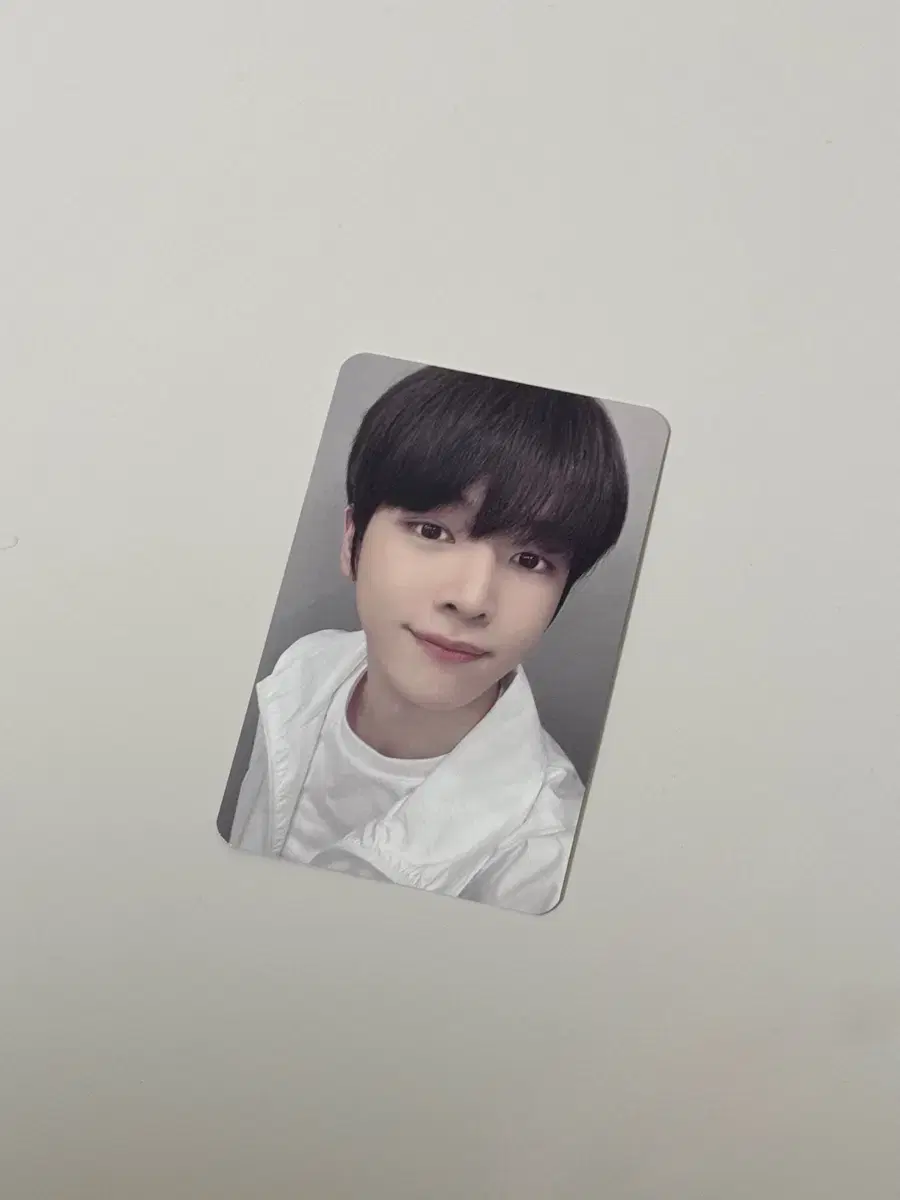 riize sungchan photocard 2022 shimcon tattoo stickers