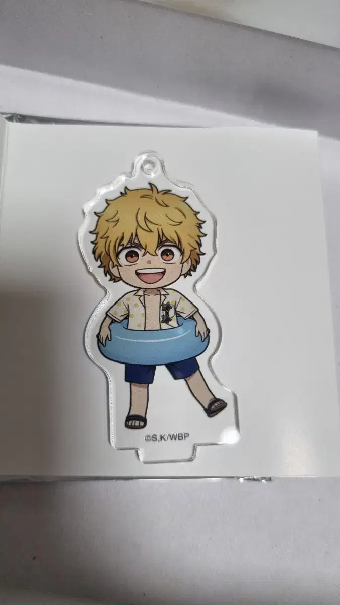 Winbrennie Lay acrylic keyring