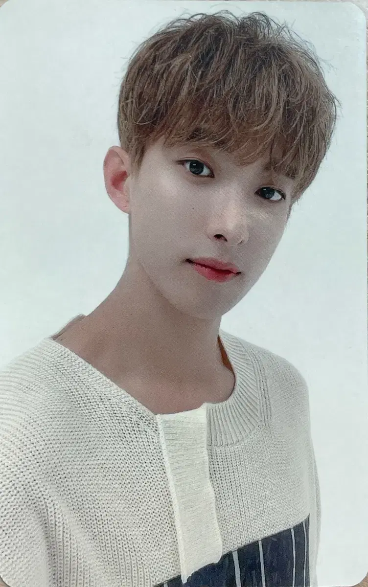 세븐틴 도겸 포카