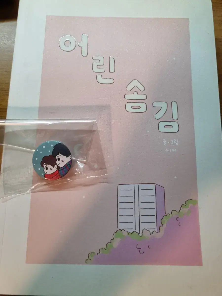 Exo Fan Book YoungSomKim (+Badge)