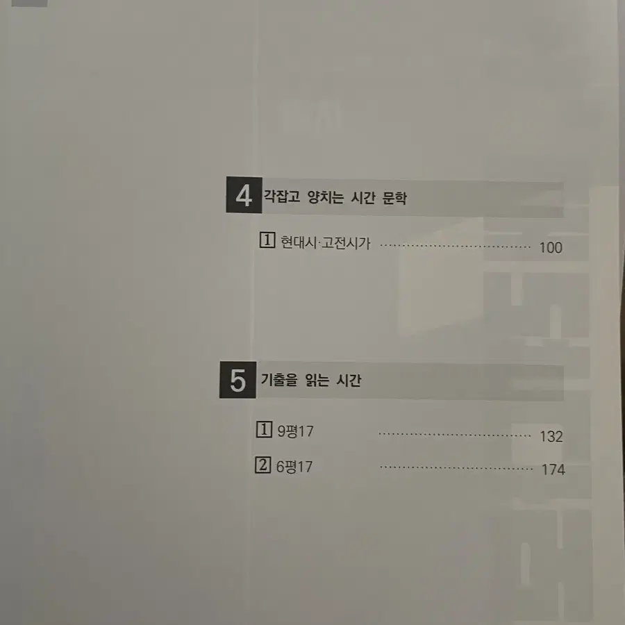 강대 국어 주간지 이정수 너완시