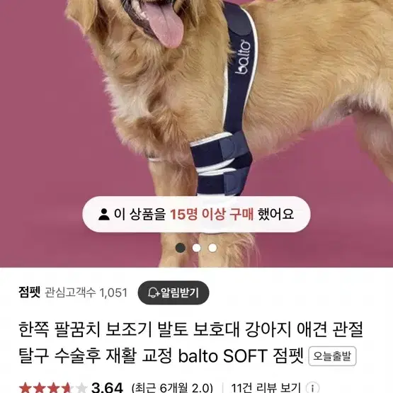 발토 애견 관절보호대