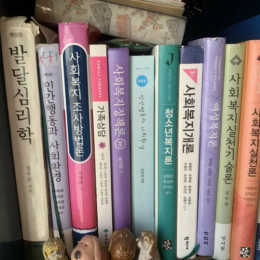 사회복지실천론, 발달심리학, 인간행동과사회환경,사회복지조사론,가족상담)