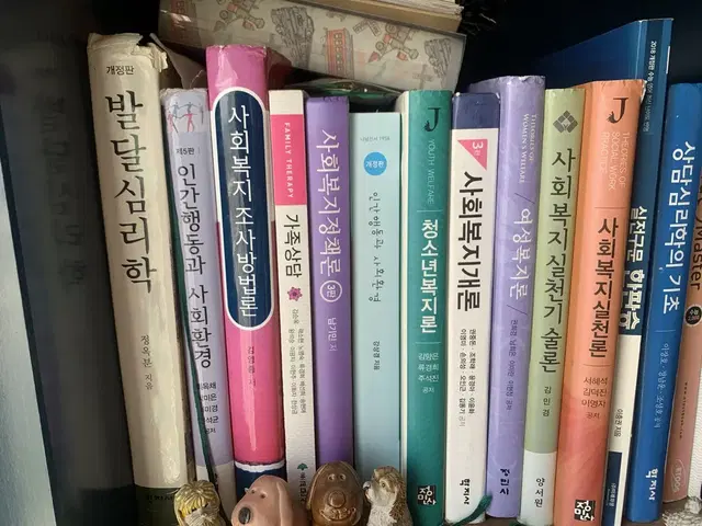 사회복지실천론, 발달심리학, 인간행동과사회환경,사회복지조사론,가족상담)