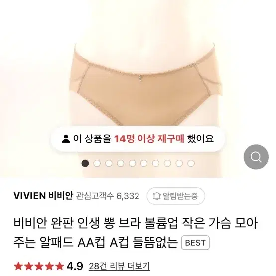 비비안 속옷