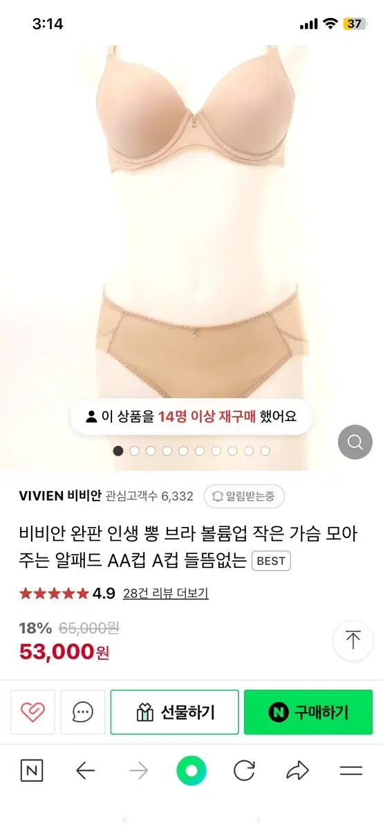 비비안 속옷