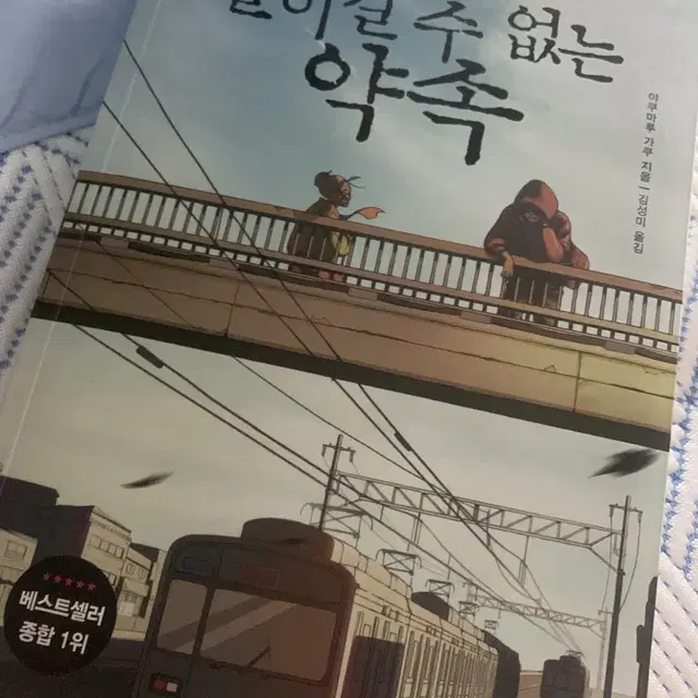 돌이킬 수 없는 약속