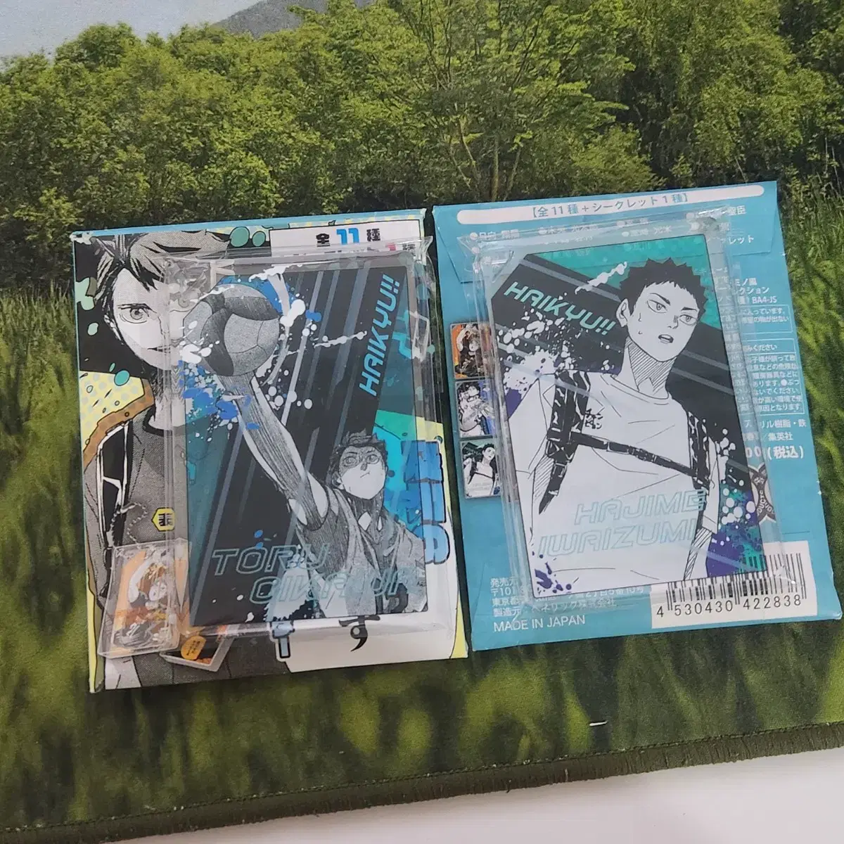 Haikyuu Domino acrylic Iwaizumi Oikawa Secret