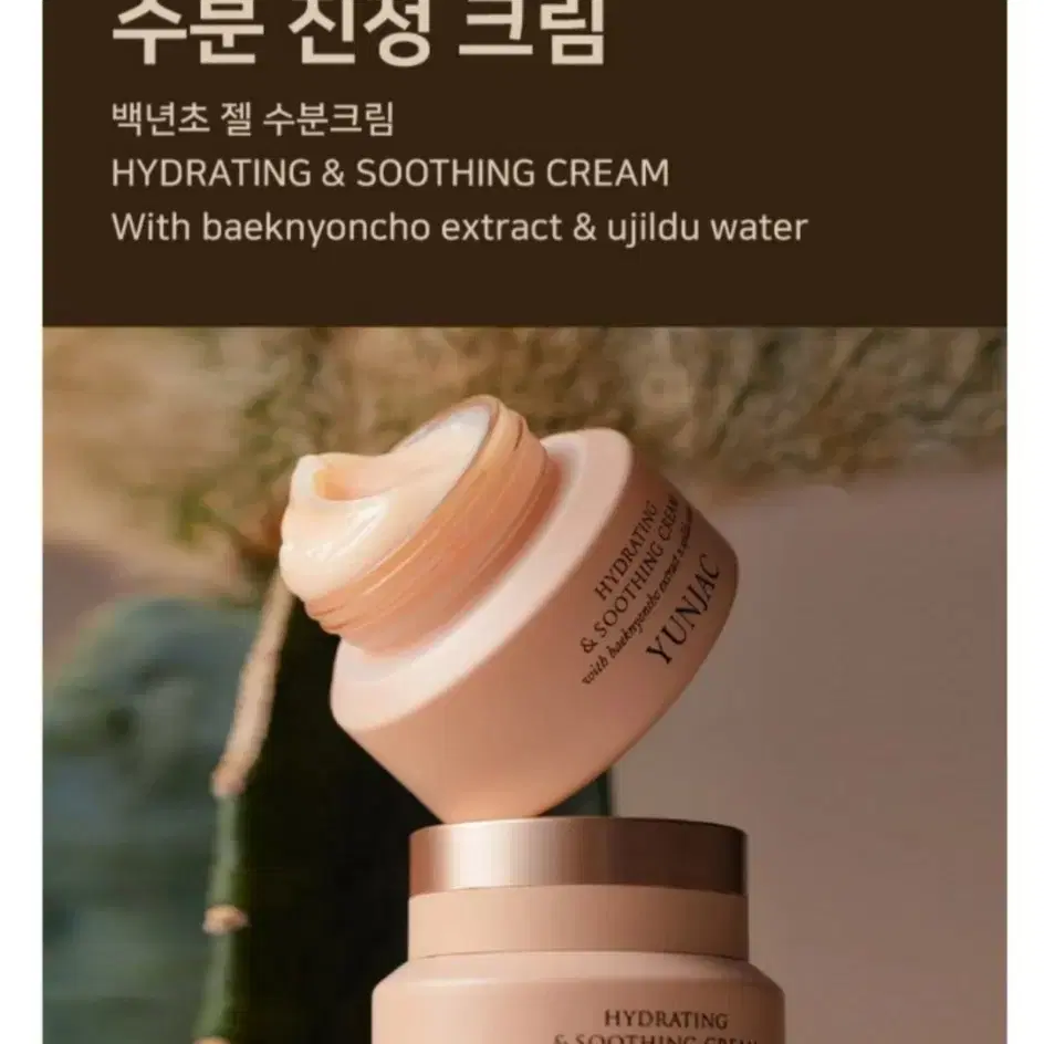 [새상품] 연작 백년초 & 우질두 수분진정 크림 50ml