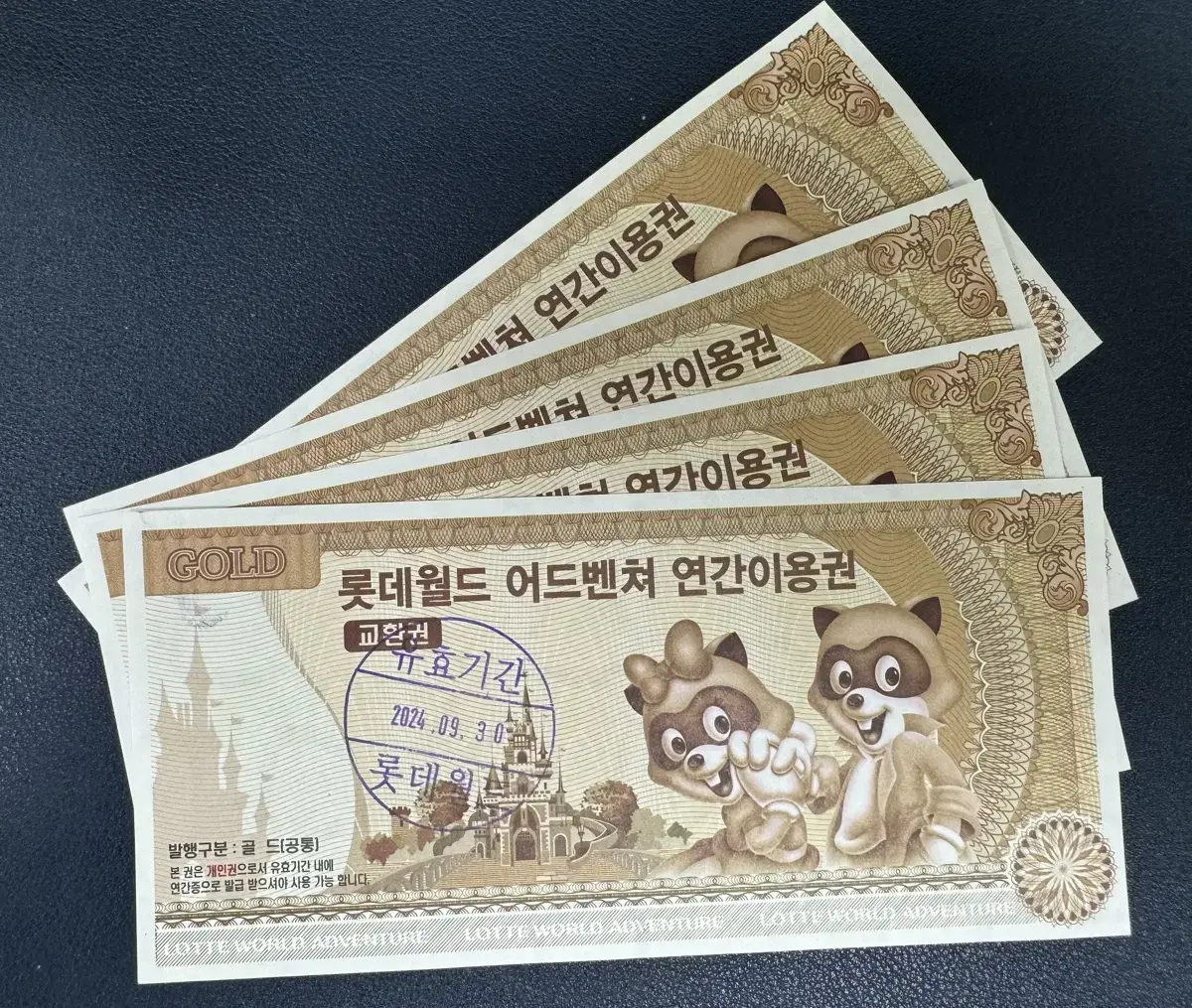 Lotte World Annual Pass Gold Pass