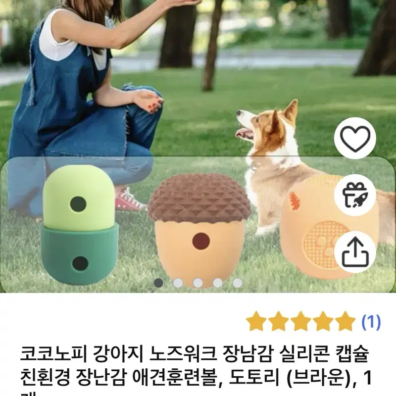 강아지 노즈워크