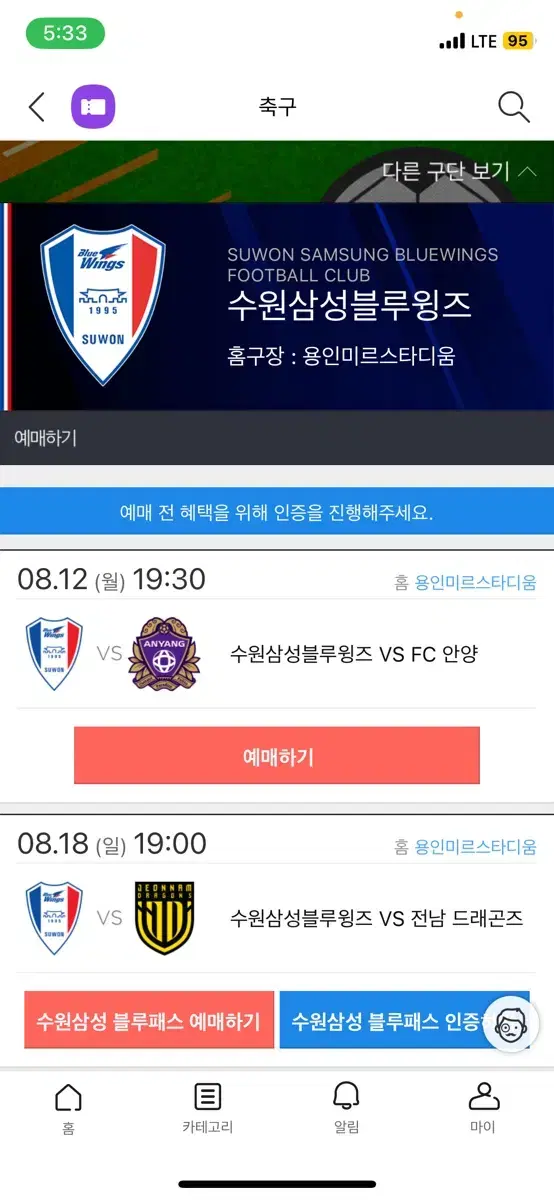 수원삼성블루윙즈 안양Fc 두자리 (8/12일 19:30) 일반석 E1-c