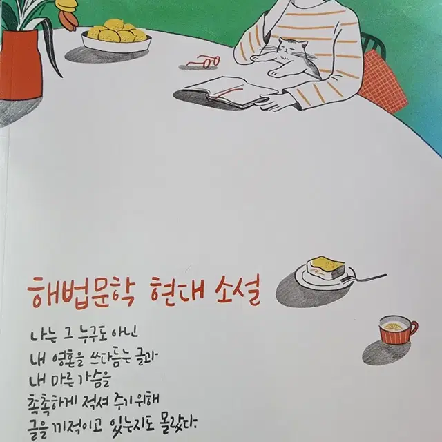 국어 해법 문학 4권 [내신+수능],마더텅 언매 (무료)