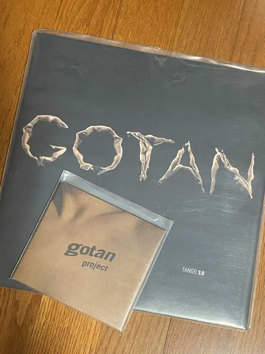 고탄 프로젝트 (gotan project)의 앨범 (2LP,1CD)