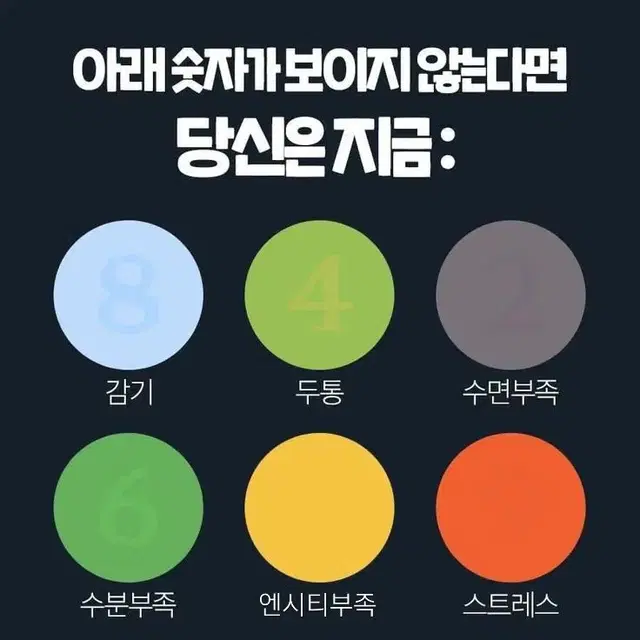 영앤드스토어 시즈니 3공바인더