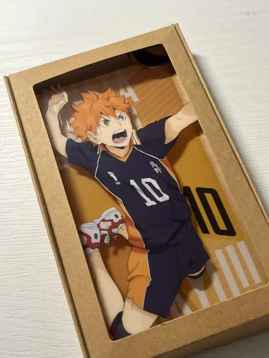 Haikyuu hinata Shoyo acrylic Stand