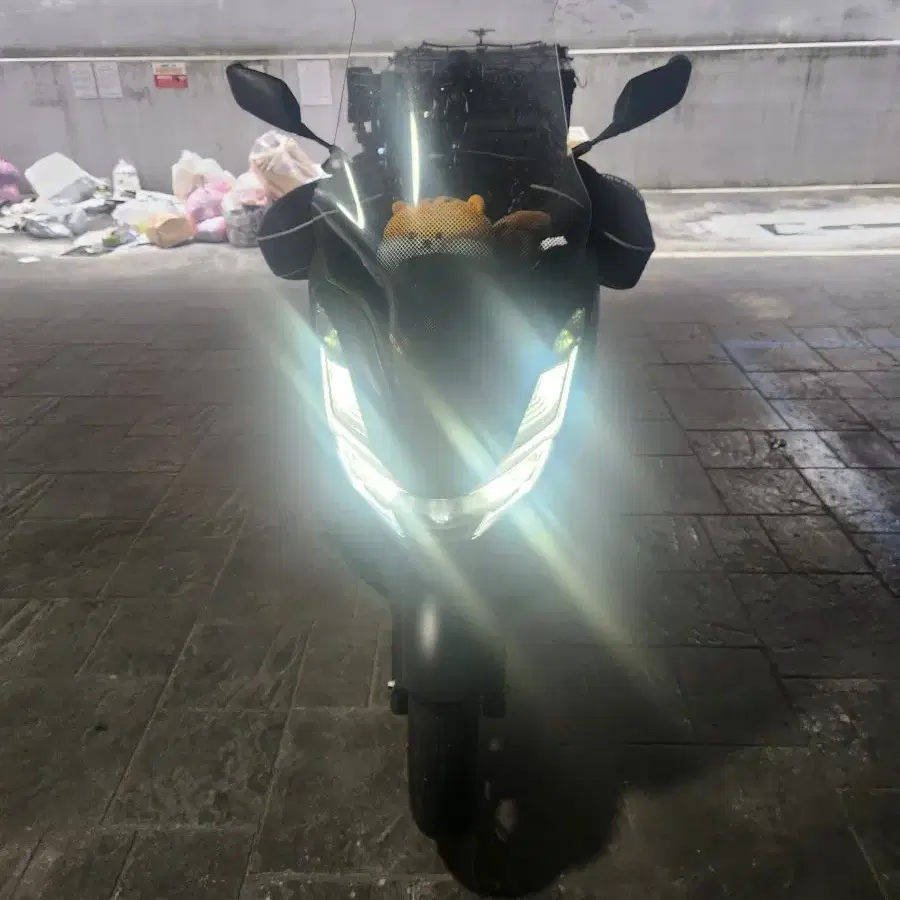 PCX 125 ABS 2022 년식 대차가능