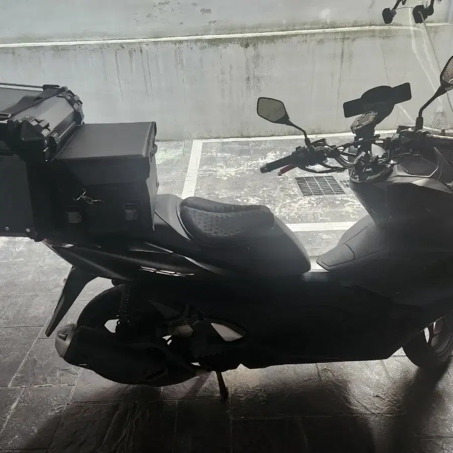 PCX 125 ABS 2022 년식 대차가능