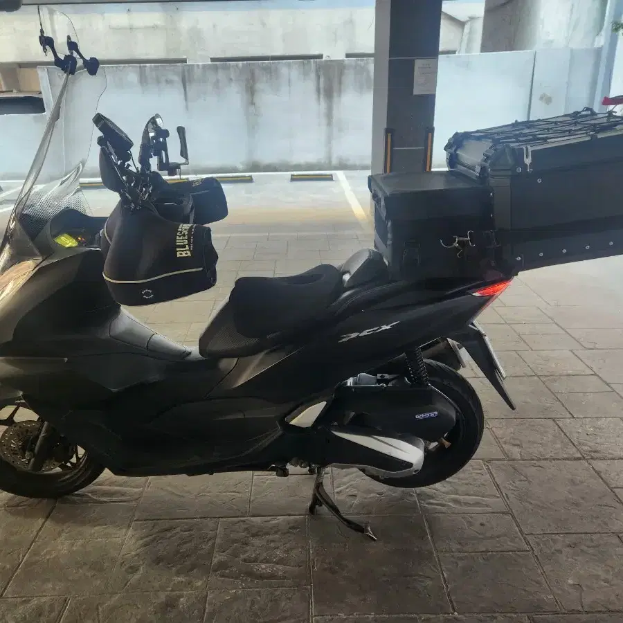 PCX 125 ABS 2022 년식 대차가능